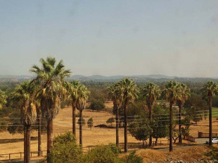 Sacramento Valley