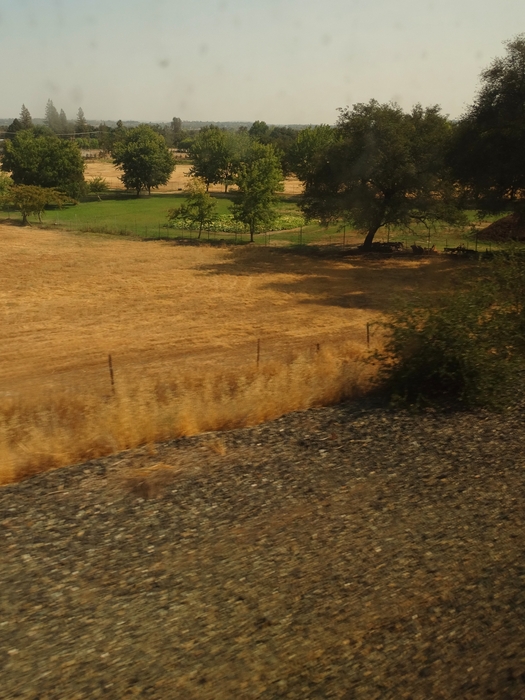 Sacramento Valley