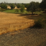 Sacramento Valley