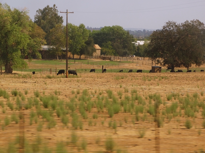 Sacramento Valley