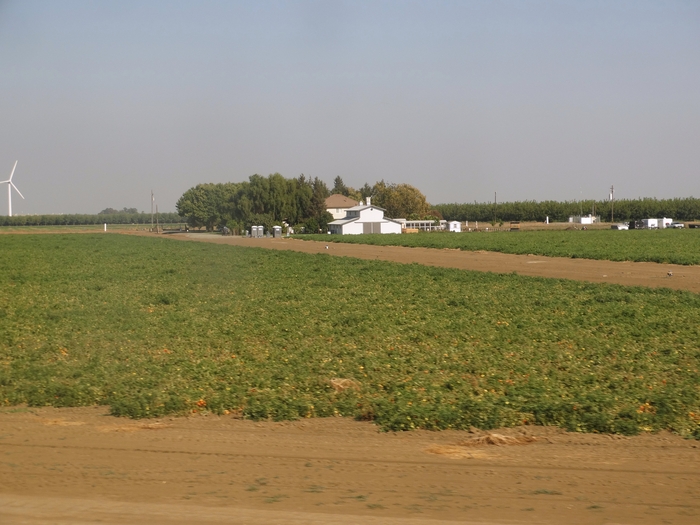 Sacramento Valley