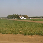 Sacramento Valley