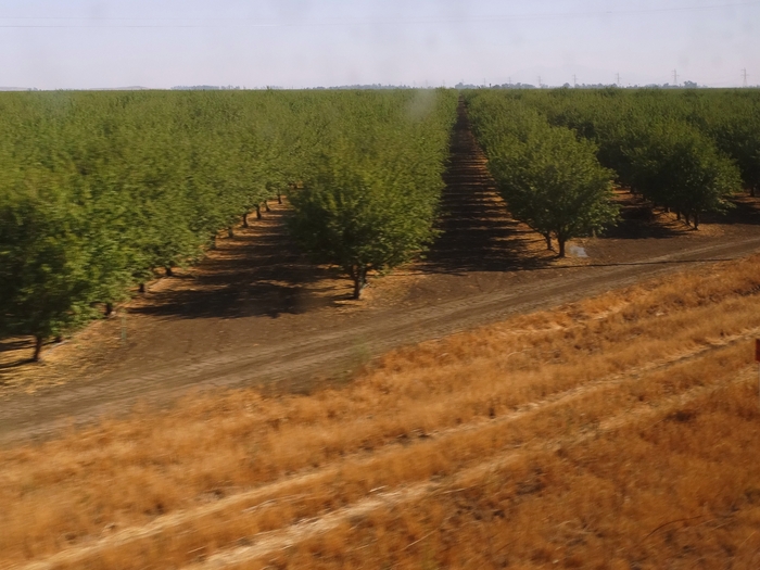 Sacramento Valley