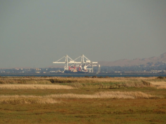 Suisun Bay