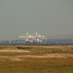 Suisun Bay
