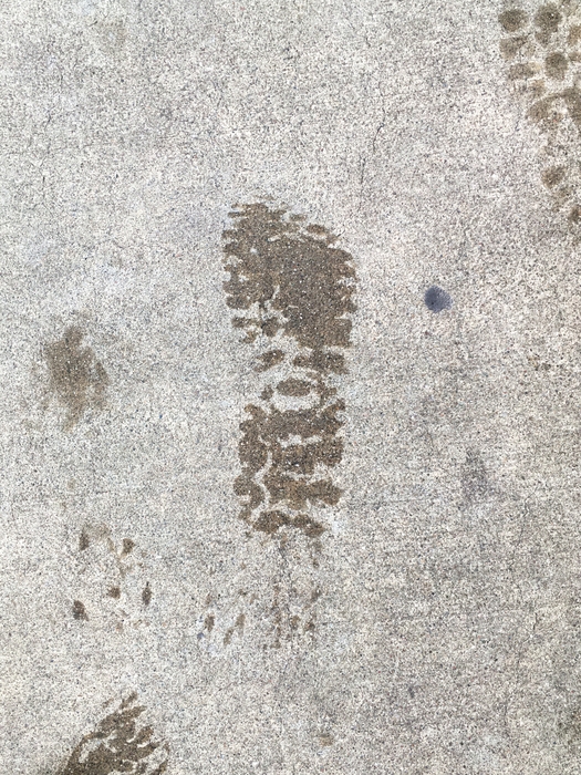 My Footprint
