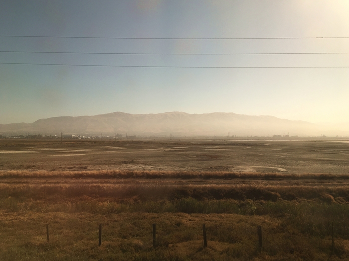 Coyote Valley