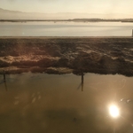 Coyote Valley