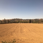 Coyote Valley