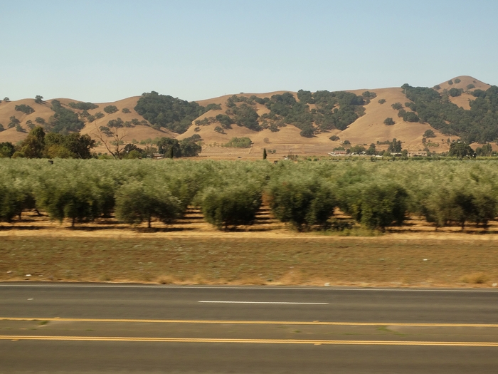 Coyote Valley