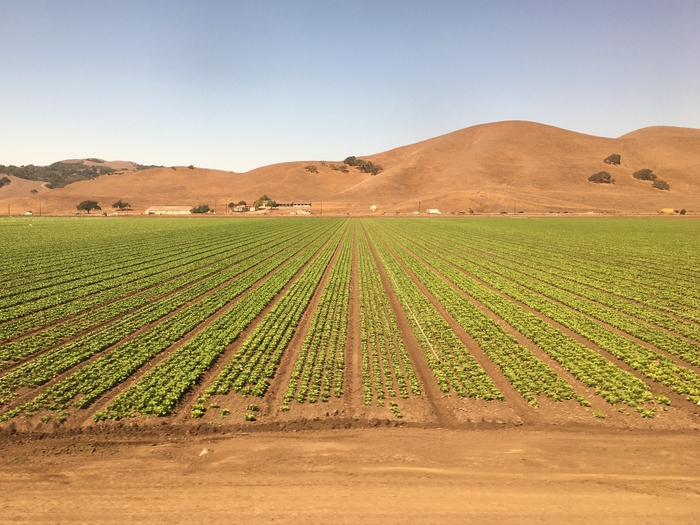 Coyote Valley
