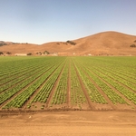 Coyote Valley