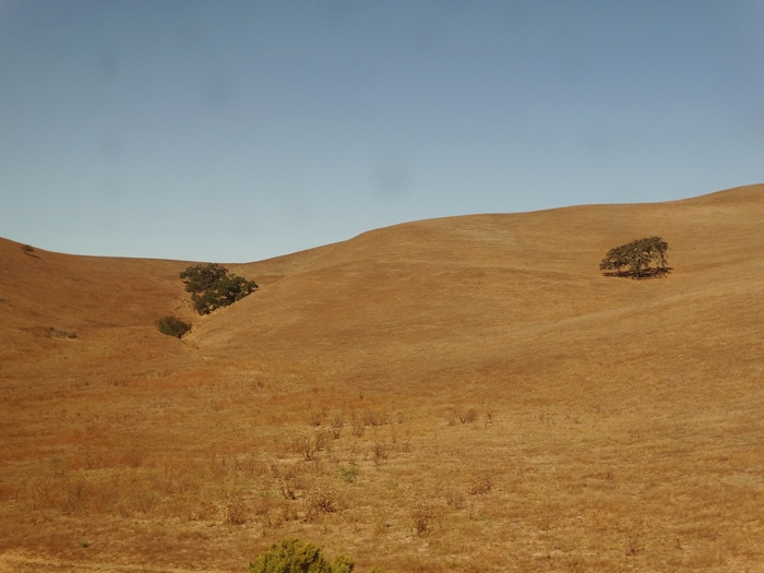 Coyote Valley