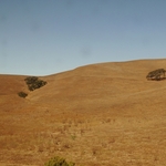Coyote Valley
