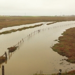 Elkhorn Slough