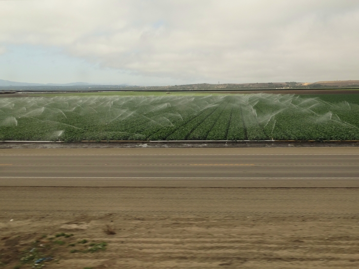 Salinas Valley