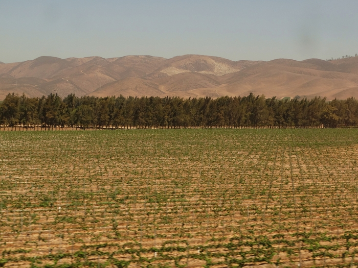 Salinas Valley