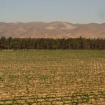 Salinas Valley