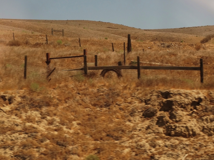Salinas Valley