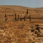 Salinas Valley