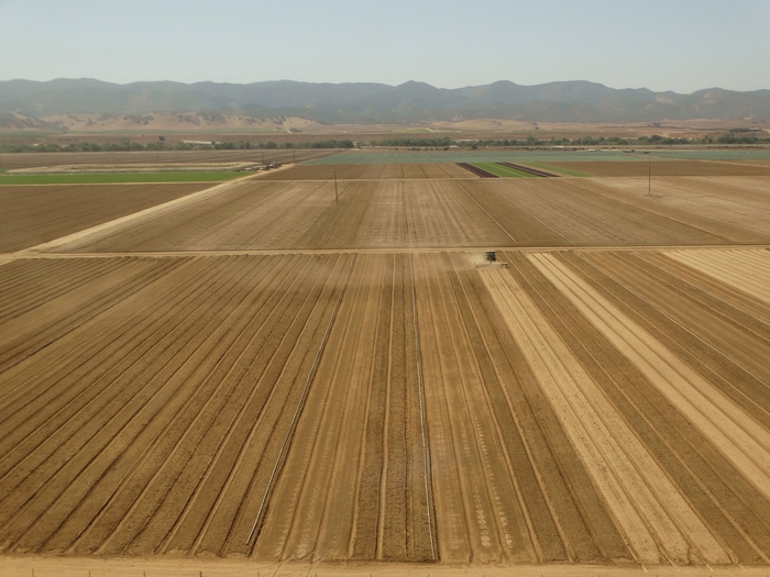 Salinas Valley
