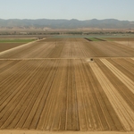 Salinas Valley