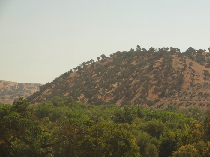 Santa Lucia Range