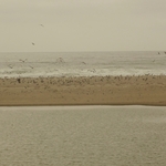 Pacific Coast