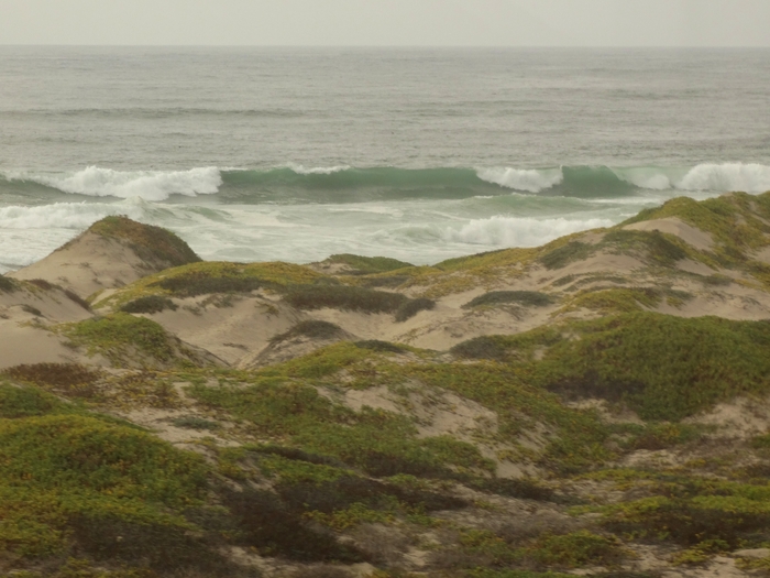 Pacific Coast