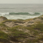 Pacific Coast