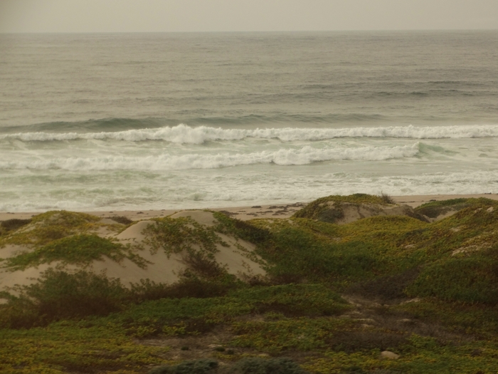 Pacific Coast