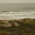 Pacific Coast