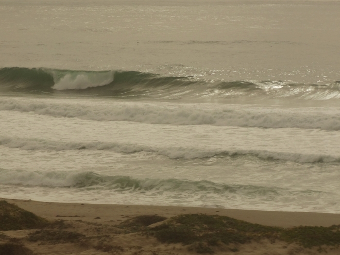 Pacific Coast