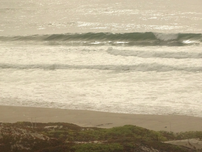Pacific Coast