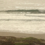 Pacific Coast