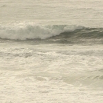 Pacific Coast