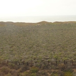 Pacific Coast