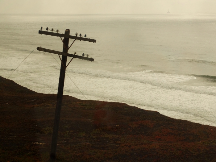 Pacific Coast