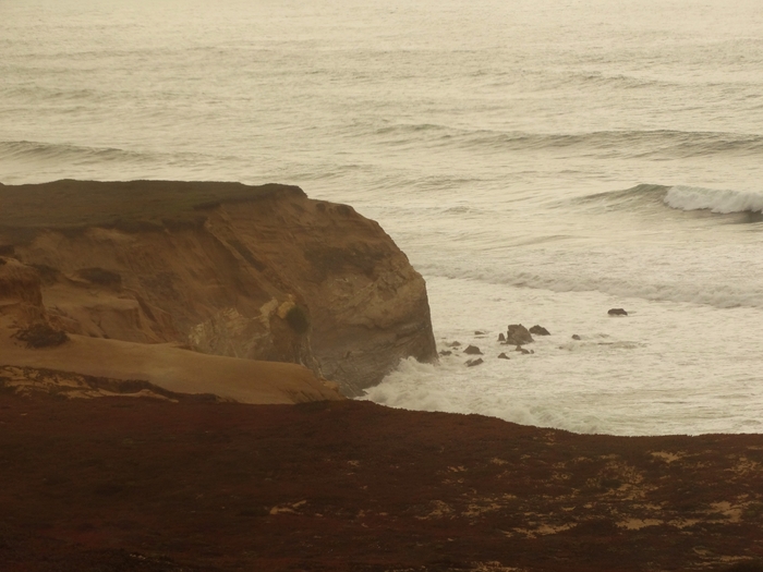Pacific Coast