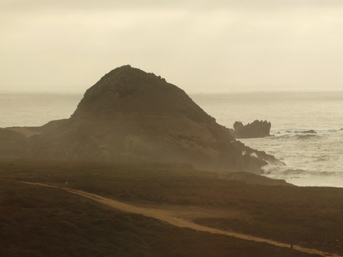 Pacific Coast