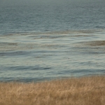 Pacific Coast