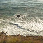 Pacific Coast