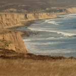 Pacific Coast