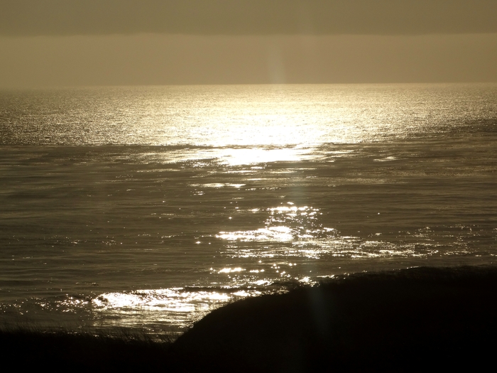 Pacific Coast