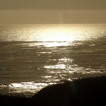 Pacific Coast