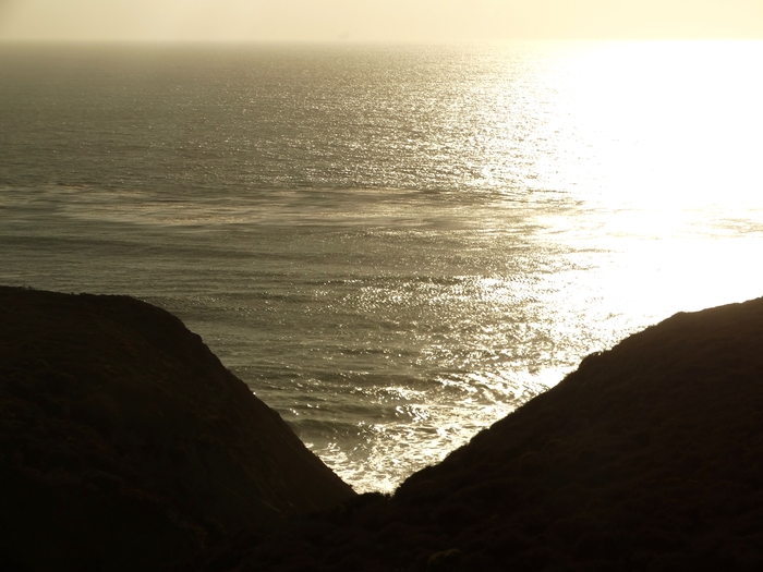 Pacific Coast
