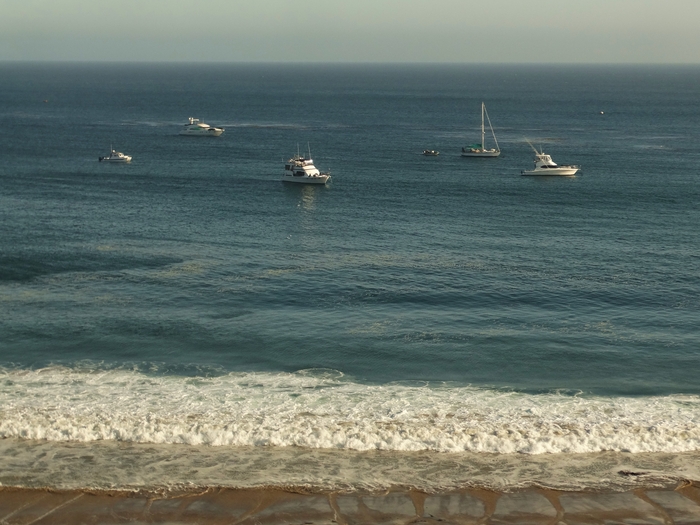 Pacific Coast
