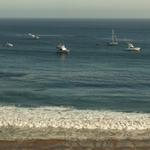 Pacific Coast