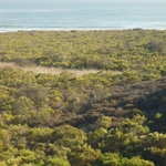 Pacific Coast