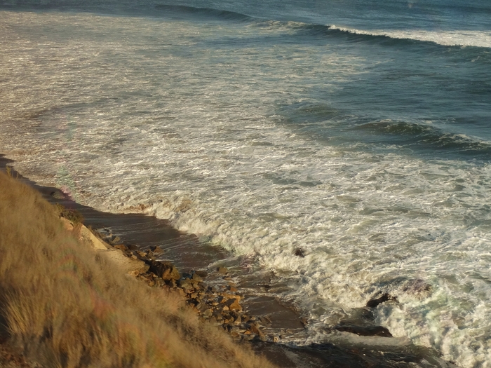Pacific Coast
